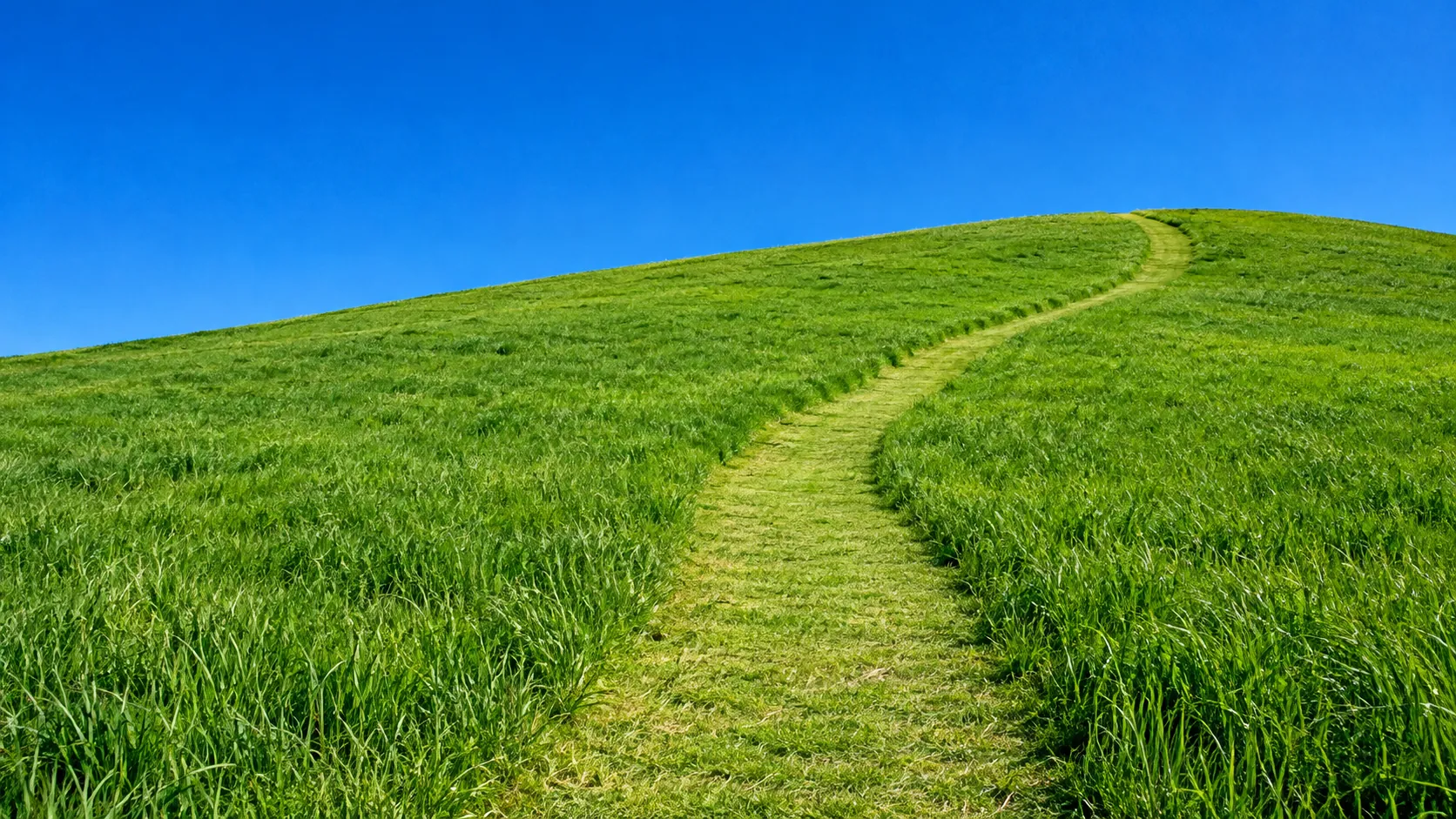 Um caminho de grama aparada subindo uma colina verde sob um céu azul profundo