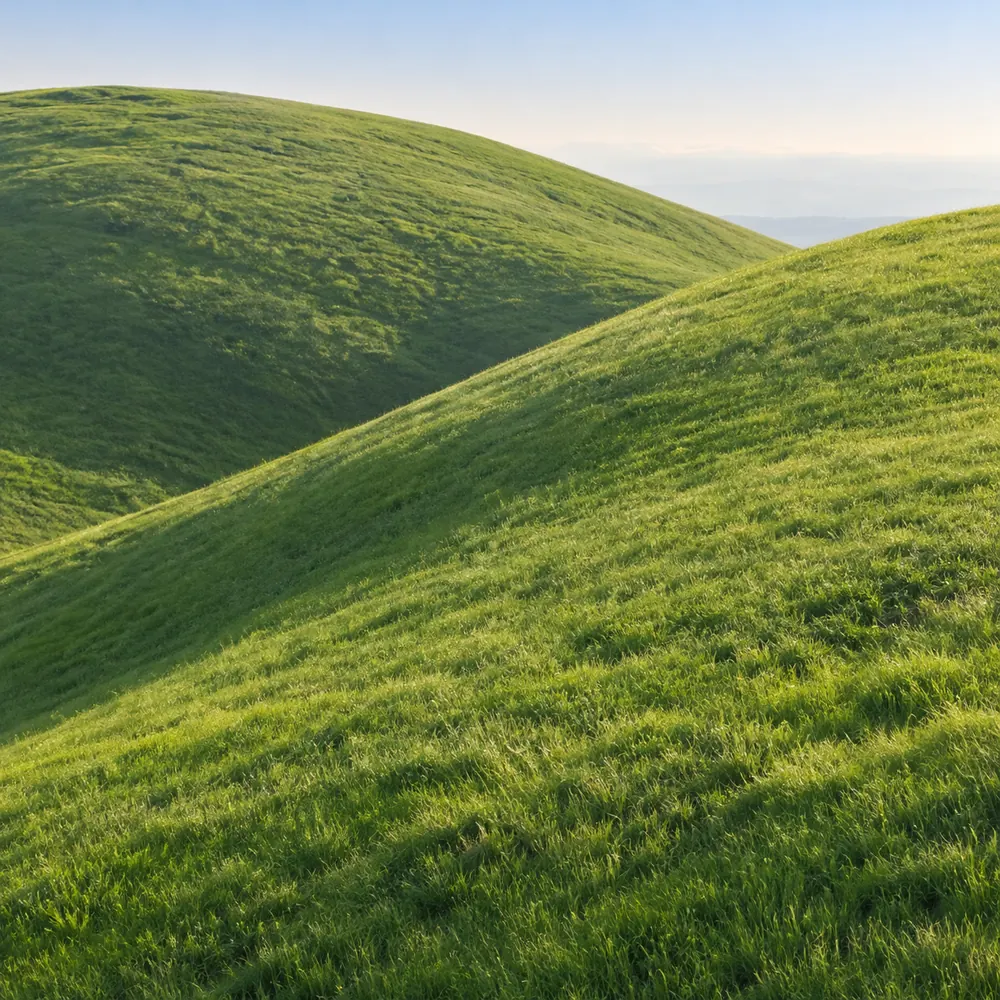 Two rounded green hills